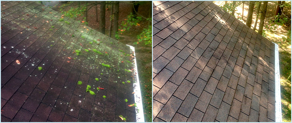 Pressure Washing / Roof Cleaning Before & After